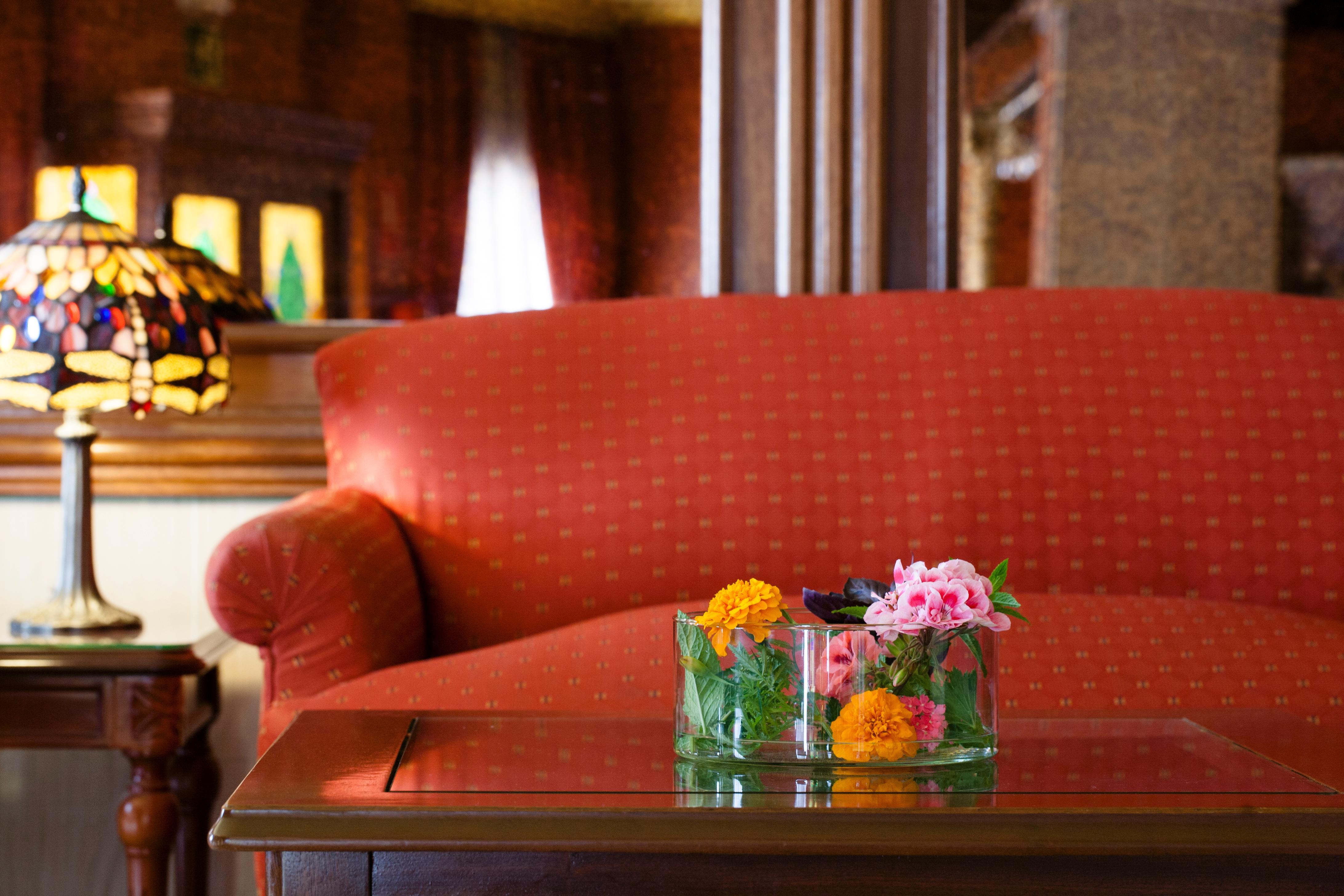 נרחה Hotel Plaza Cavana מראה חיצוני תמונה