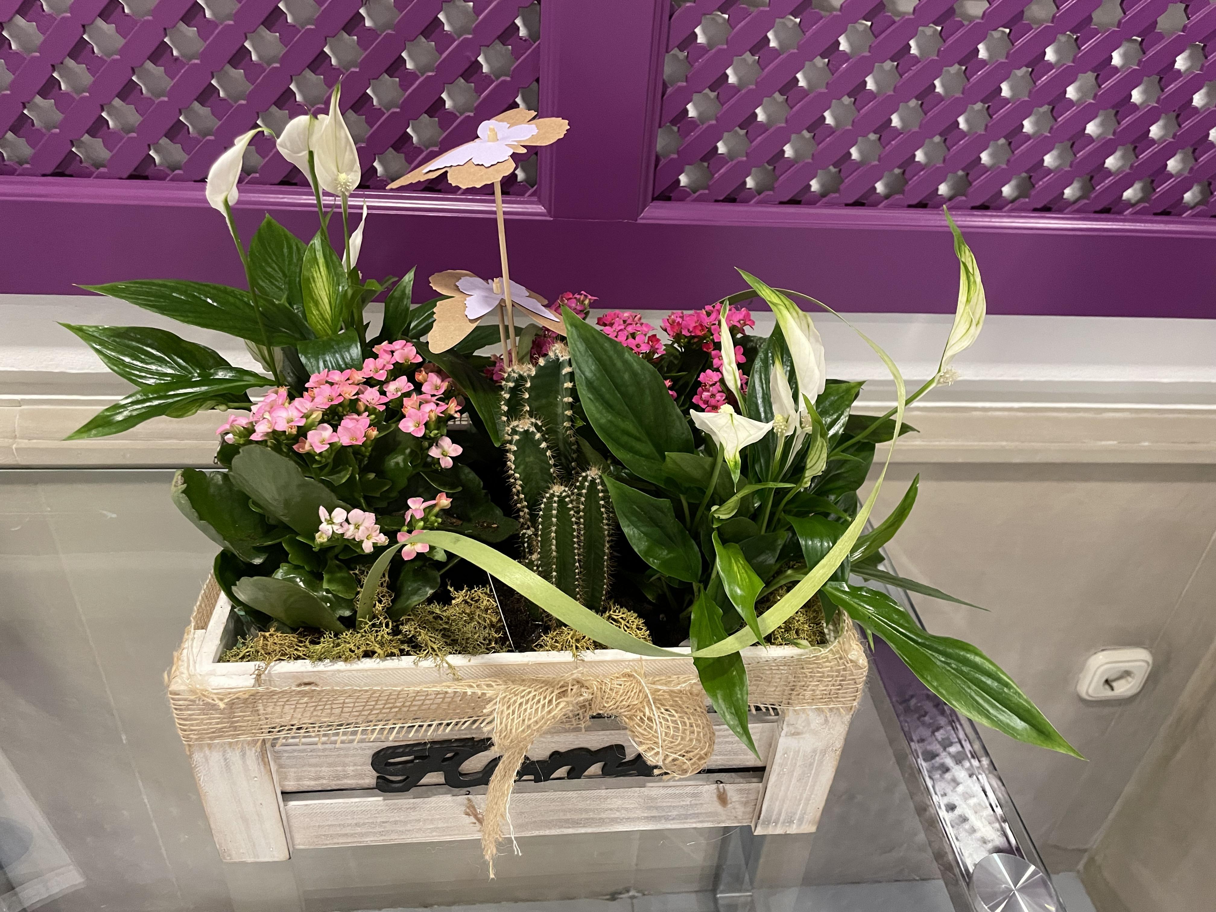 נרחה Hotel Plaza Cavana מראה חיצוני תמונה